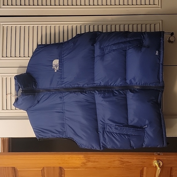 The North Face Other - The North Face Vest